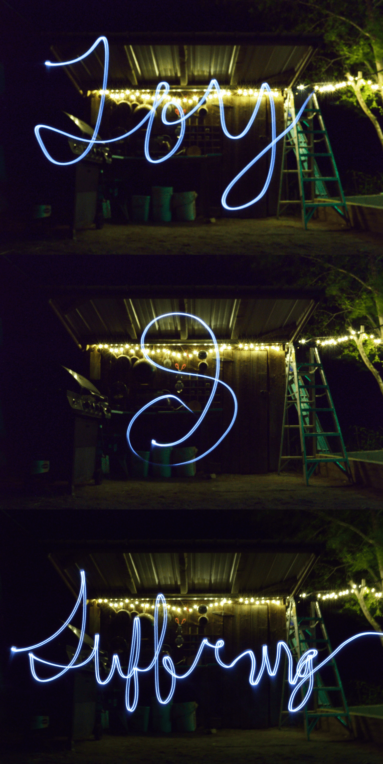 Joy and Suffering.png